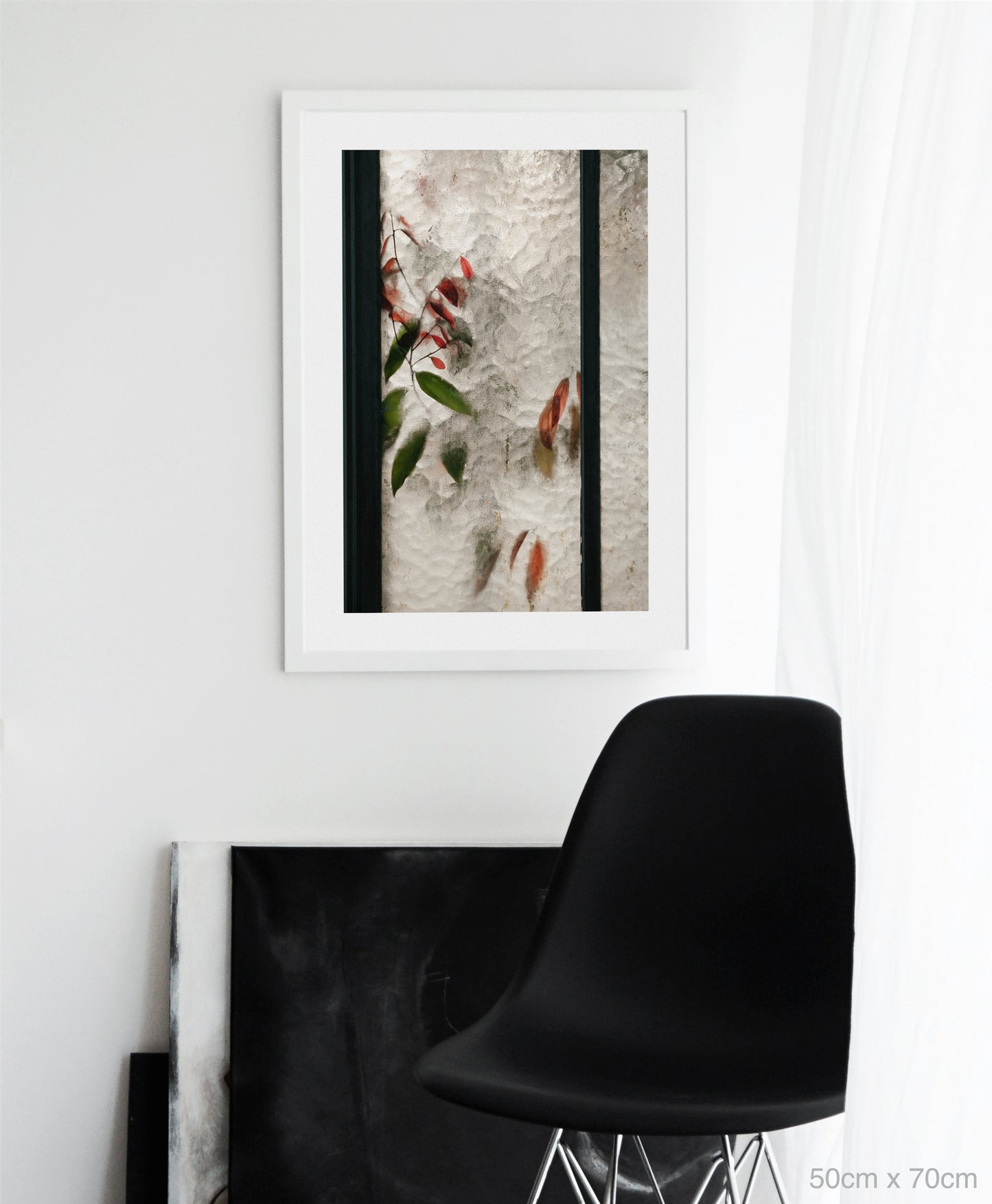 Lauraceae Cinnamomum